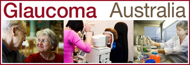 links glaucoma Links